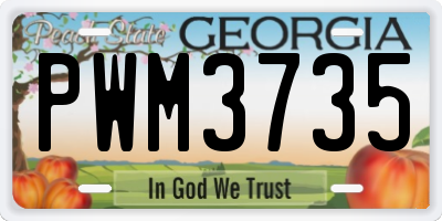 GA license plate PWM3735