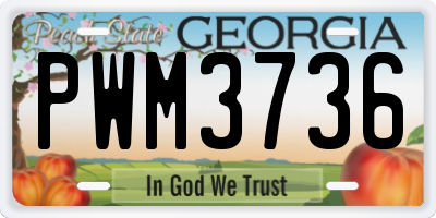 GA license plate PWM3736
