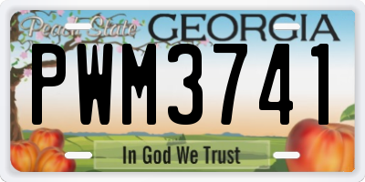 GA license plate PWM3741