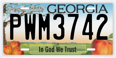 GA license plate PWM3742