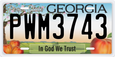 GA license plate PWM3743