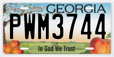 GA license plate PWM3744