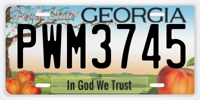 GA license plate PWM3745
