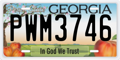 GA license plate PWM3746