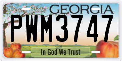 GA license plate PWM3747