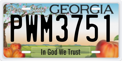 GA license plate PWM3751