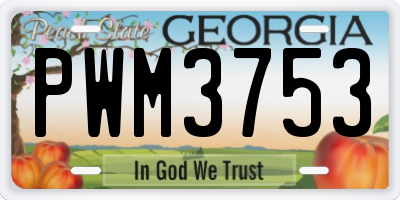 GA license plate PWM3753