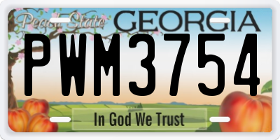 GA license plate PWM3754