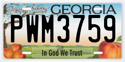 GA license plate PWM3759