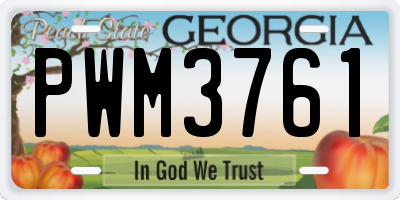 GA license plate PWM3761
