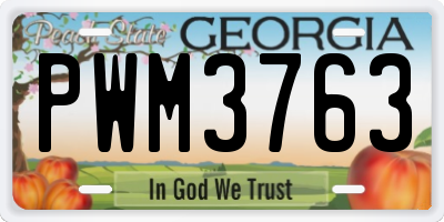 GA license plate PWM3763