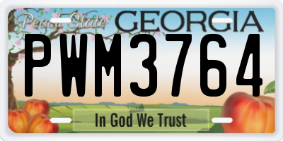 GA license plate PWM3764
