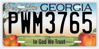 GA license plate PWM3765