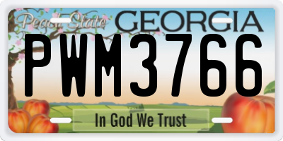 GA license plate PWM3766