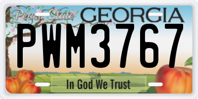 GA license plate PWM3767