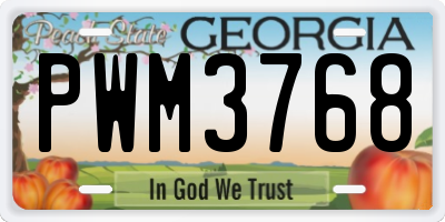 GA license plate PWM3768