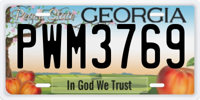 GA license plate PWM3769