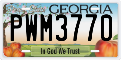 GA license plate PWM3770
