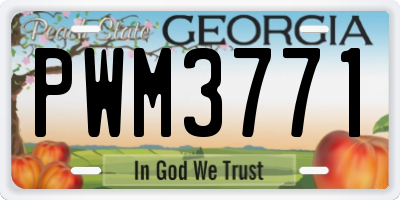 GA license plate PWM3771
