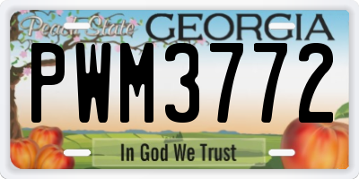 GA license plate PWM3772