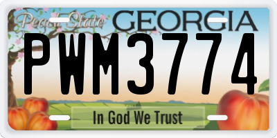 GA license plate PWM3774