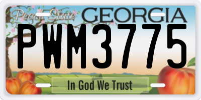 GA license plate PWM3775