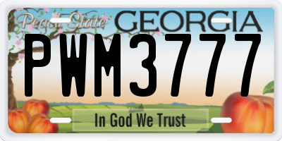 GA license plate PWM3777