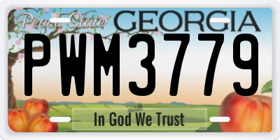 GA license plate PWM3779