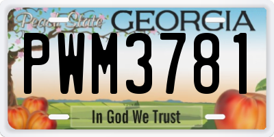 GA license plate PWM3781