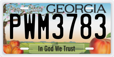 GA license plate PWM3783