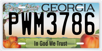 GA license plate PWM3786