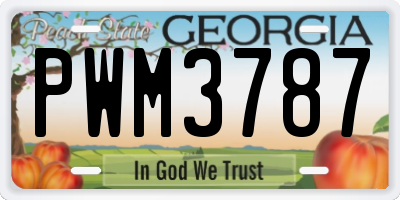 GA license plate PWM3787