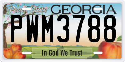 GA license plate PWM3788