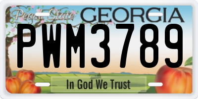 GA license plate PWM3789