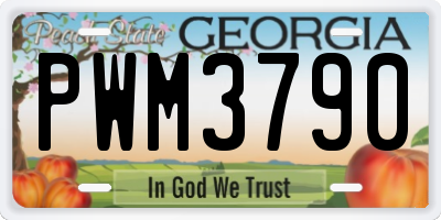 GA license plate PWM3790
