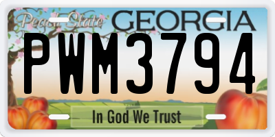 GA license plate PWM3794