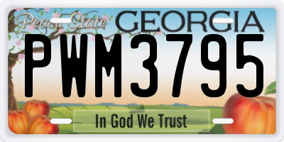 GA license plate PWM3795
