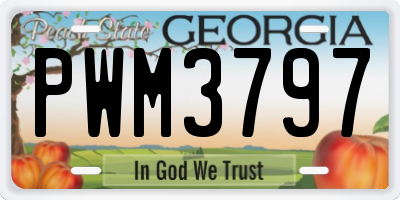 GA license plate PWM3797