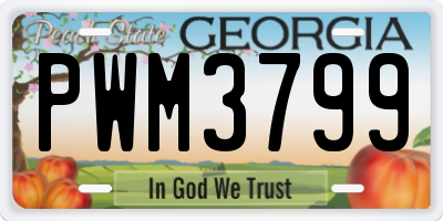 GA license plate PWM3799