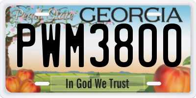 GA license plate PWM3800