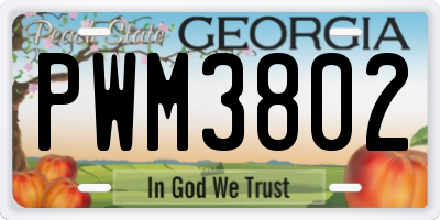 GA license plate PWM3802