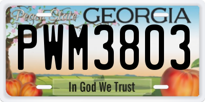 GA license plate PWM3803