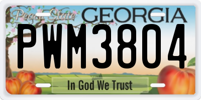 GA license plate PWM3804