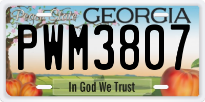 GA license plate PWM3807