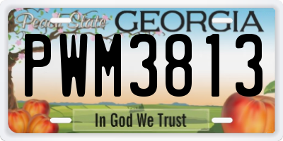 GA license plate PWM3813