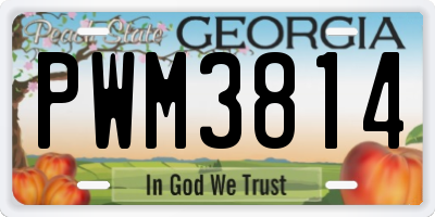 GA license plate PWM3814