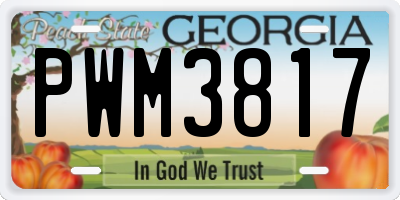GA license plate PWM3817