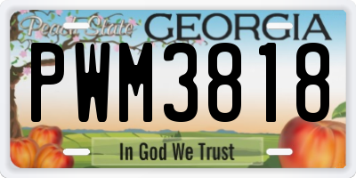 GA license plate PWM3818