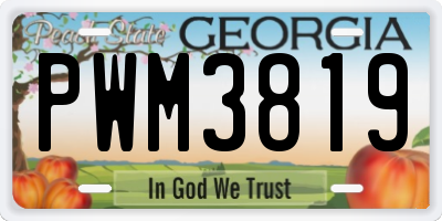 GA license plate PWM3819