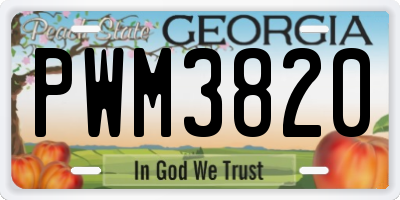 GA license plate PWM3820